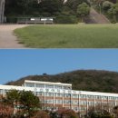 쌍문문고 네이버블로그