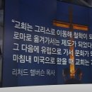 황금송아지 이미지