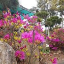 오오펜션 이미지