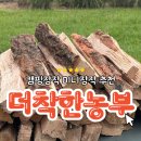 더장작 | 캠핑미니장작 캠핑용장작 더착한농부 불멍 사용 내돈내산 후기