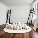 검단건강생활지원센터본관 | 검단 말티푸분양 우리 집 행복을 찾기까지의 모든 과정 A to Z