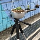 사회적협동조합 플라토피아 이미지