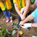 고촌어린이집 이미지