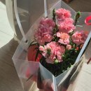 [제주도 능금해수욕장 카페 내돈내산 리뷰] 파라토도스