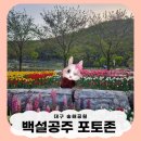 비슬산둘레길 2구간 | 여자친구 기분이 좋아지는 곳, 자연 그대로의 꽃향 속을 거닐어 보아요.