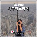 도쿄 시부야스카이 전망대 예약 가는법 포토존 에스컬레이터 일몰 시간대