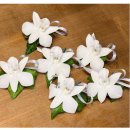 아뜰리에윤 | 💐 아뜰리에윤 본식 부케 계약 후기 / 혼주 코사지 종류 다양한 본식 부케 추천