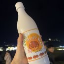 부여백제(공주) | 공주 부여 2025년 백제문화제 관람후기