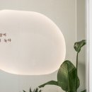 바른동물의료센터 네이버블로그