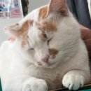 GS25 제주함덕점 이미지