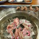 고기바보 이미지