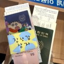 대마도 히타카츠 당일치기 자유여행(1탄)🏝️- 부산항 • 마도 MADO 후기