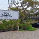 애니골길 이미지