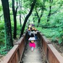 한울숲유치원 이미지