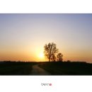 종일목장 이미지