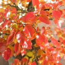 소사중학교 이미지