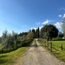 숙소 보르고 스코페토 를레 프리퍼드호텔앤리조트 Borgo Scopeto Wine &amp; Country Relais 시설 조식 후기