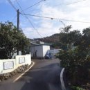 대청민박 | 1박2일 촬영지 고흥 대청마을 위치 특징 방문후기