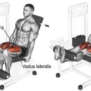 오늘의 운동 이미지