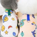 예뿐강아지 이미지