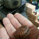 참장독