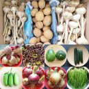 다래농원 이미지