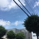 우남로 | [제주도여행] 태풍과 함께 시작한 즉흥여행