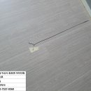 충남댁 이미지