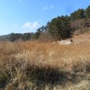 포항시남구20 이미지