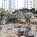사당롯데캐슬골든포레아파트 네이버블로그