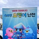 원조금강순대 | 속초 오징어난전 속초항 오징어회 오징어통찜 시세부터 맛까지 솔직 후기