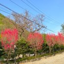 해평보건지소 화장실 | 가평글램핑 준비물 꿀팁 리즈밸리글램핑펜션 양고기 바베큐 계곡 강추 후기