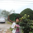 부잣집보쌈