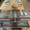 아차산로405번길 | [구리/교문동] 절친과 구리나들이에 다녀온 ' 샛다리카페 ' 내돈내산