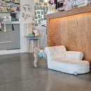 똥강아지 수제간식 | 중곡애견동반카페 똥강아지카페 내돈내산 면목동 강아지유치원