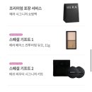 HERA 헤라 블랙 쿠션 메쉬 파우더 내돈내산 솔직후기(단점까지)