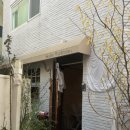 연지초교 | 부산|연지 비 오는 날도 예쁜 느좋 카페 추천, 시나브로 워크룸 커피바