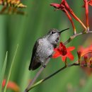 멍 앤 빌리지 네이버블로그