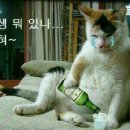 신서로 이미지