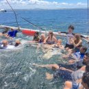 포우농장 | Australia (호주) = 스포츠스타 인증! 포트스테판 – 오크베일·돌핀크루즈·모래썰매·와이너리 = 마이...