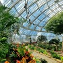 솔향수목원(전시온실) 이미지