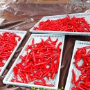 솔대농원 이미지