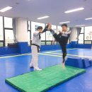 나토얀태권도장 이미지