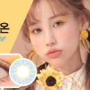 단델리온마켓 네이버블로그