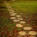 평안한약국 이미지