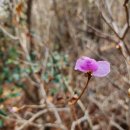 284. 고흥 운암산 / 2023.2.19. / 산타바바라 산행이야기