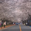 금강변길 이미지