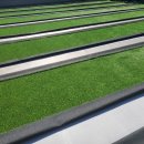 대구외국어고등학교 이미지