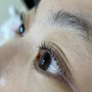 상원시장 | [안양속눈썹펌후기]아일로뷰티