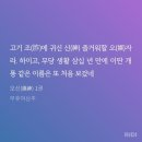 당나구 | 나의 합체 계획: BL소설편5